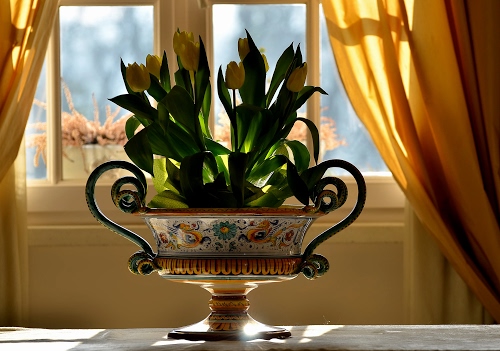 Immagine con vaso, tende, fiori, finestra, giallo, pianta, foglie, tulipani, verde, tavolo, controluce, ceramica, curve, luce, interno, gialli, manici