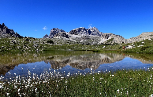 Immagine con fiori, cielo, lago, riflesso, erba, verde, montagna, acqua, azzurro, rocce, montagne, riflessi, piante, prato, bianco, laghetto, monti