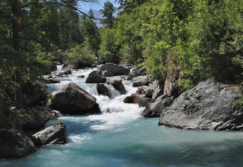 Immagine con acqua, torrente, alberi, rocce, fiume, verde, bosco, cascata