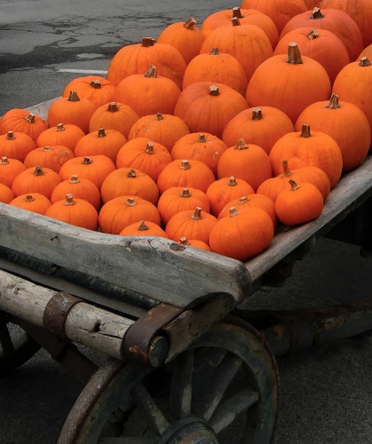 Immagine con zucche, carretto, arancione, ruota, legno, carro, ruote, tante, raggi, cibo, ferro, arancio, zucca, ruggine