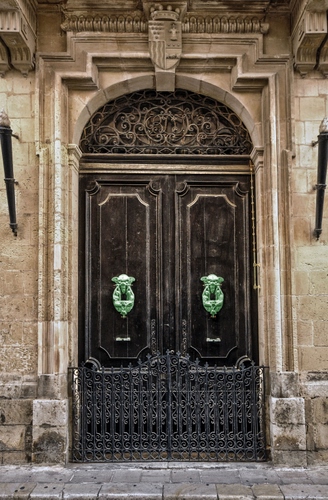 Immagine con portone, batacchi, porta, stemma, batacchio, legno, cancello, ferro, verde, arco, cancelletto