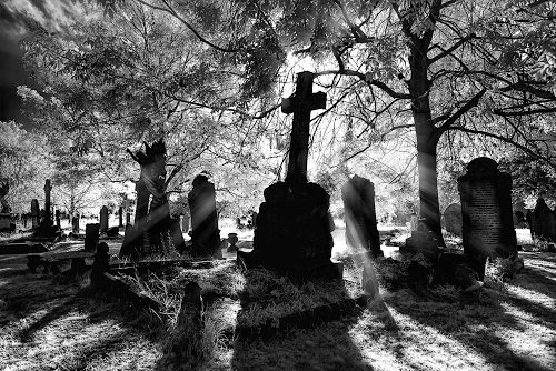 Immagine con cimitero, alberi, tombe, bianconero, raggi, lapidi, controluce, croce, sole, croci, rami, erba, ombre, nero, foglie, camposanto, ombra