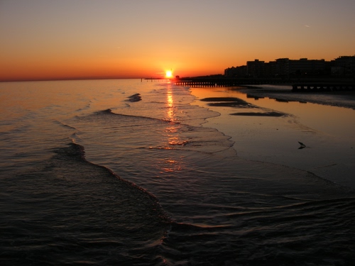 Immagine con mare, tramonto, sole, spiaggia, onde, cielo, acqua, arancione, riflesso