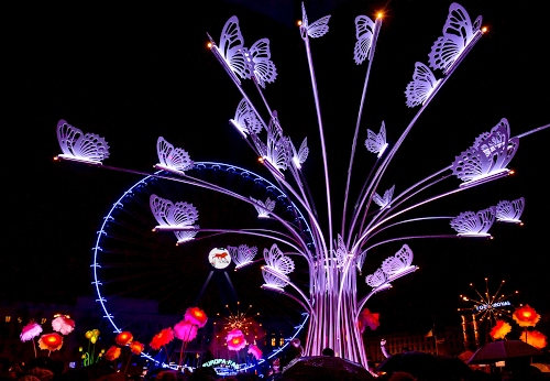 Immagine con farfalle, luci, luminarie, fiori, colori, viola, rosso, cerchio, nero, notturno, notte, decorazioni, mazzo, rami