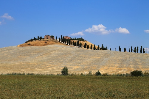 Immagine con collina, cipressi, campagna, campi, toscana, panorama, paesaggio, alberi, casolare, campo, estate
