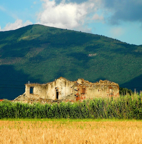 Immagine con rudere, montagna, nuvole, verde, cielo, campo, grano, casa, canne, finestre, rovina, casolare, piante, ruderi, porta, azzurro, collina, giallo, bosco, campagna, rovine