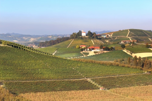 Immagine con colline, case, alberi, verde, panorama, paesaggio, vigne, campi, vigneti, casali, filari