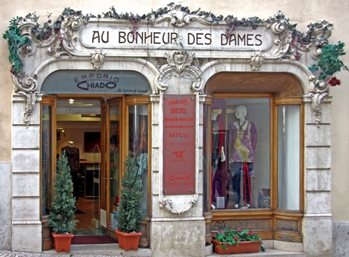 Immagine con negozio, vetrina, insegna, vasi, vetrine, manichino, piante, abbigliamento, manichini