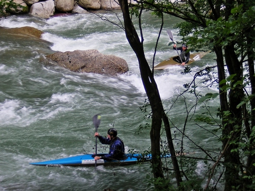 Immagine con fiume, canoa, alberi, acqua, sport, torrente, rapide