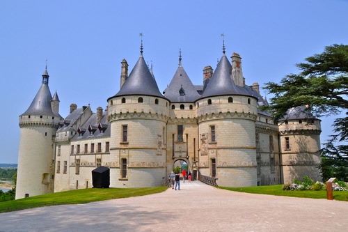 Immagine con castello, torri, cupole, cielo, medioevo, finestre, prato, albero, entrata, loira