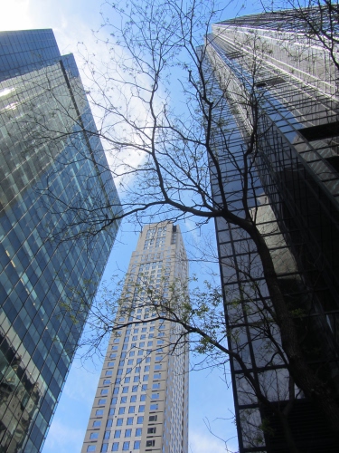 Immagine con grattacieli, cielo, finestre, albero, rami, palazzi, alberi, nuvole, prospettiva, vetri, vetrate, vetro, città, spoglio, azzurro, grattacielo