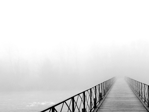Immagine con nebbia, acqua, ponte, bianconero, fiume, ringhiera, legno, prospettiva, pontile, passerella, ringhiere