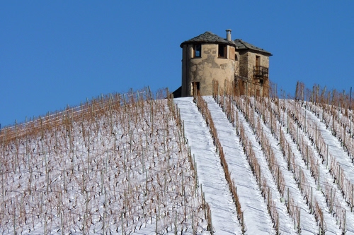 Immagine con neve, collina, filari, cascina, inverno, cielo, finestre, bianco, viti, casolare, vigneto, campagna, vigneti, casa, tetti, azzurro