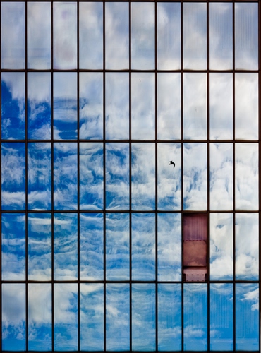 Immagine con nuvole, cielo, uccello, finestre, riflesso, rettangoli, vetri, azzurro, riflessi