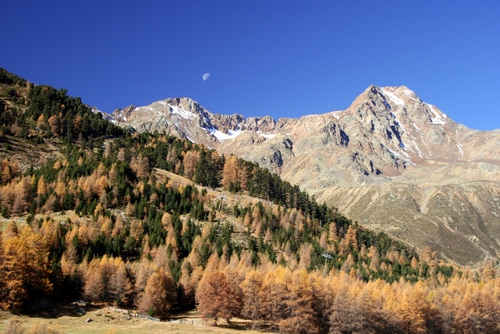 Immagine con montagne, alberi, luna, cielo, verde, autunno, bosco, azzurro, boschi, neve, abeti, montagna, pini, rocce, panorama