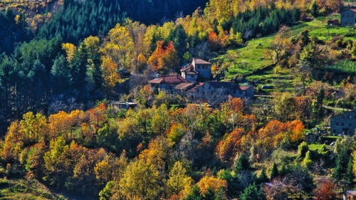 Immagine con autunno, alberi, montagna, borgo, verde, giallo, case, panorama, rosso, colori