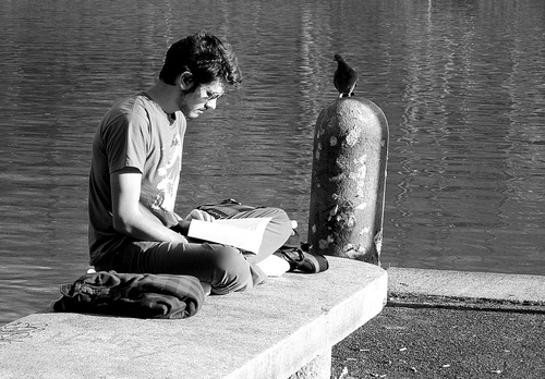 Immagine con acqua, libro, bianconero, ragazzo, piccione, panchina, uomo, seduto, leggere, lago, uccello, lettura, occhiali, lettore, riflessi