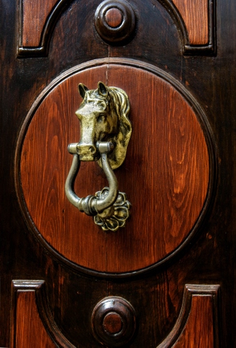 Immagine con cavallo, legno, porta, batacchio, portone, metallo, oro, battente, cerchio, battiporta, testa