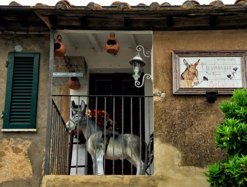 Immagine con asino, balcone, lampione, ringhiera, finestra, persiana, gabbia, lampada, verde