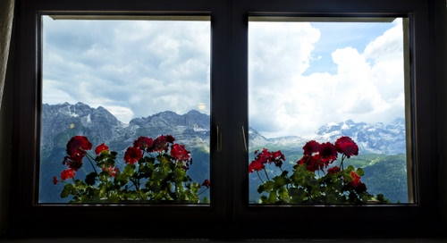 Immagine con finestra, fiori, montagne, nuvole, rosso, cielo, gerani, panorama, neve, montagna, vetri, verde, vista, bianco