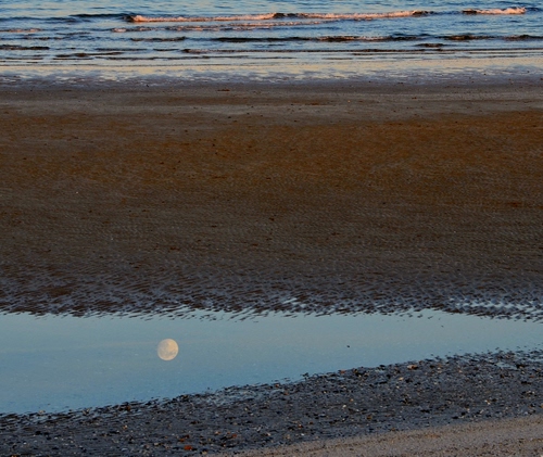 Immagine con luna, mare, riflesso, spiaggia, sabbia, onde, acqua