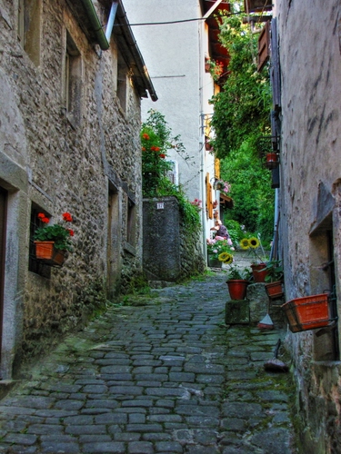 Immagine con vicolo, vasi, fiori, finestre, case, strada, paese, piante
