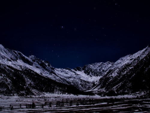 Immagine con neve, stelle, montagne, notte, cielo, notturno, montagna, panorama, inverno, alberi, bianconero
