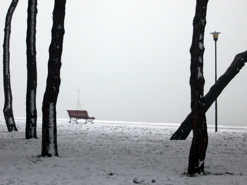 Immagine con neve, panchina, lampione, alberi, tronchi, inverno, nebbia, bianco