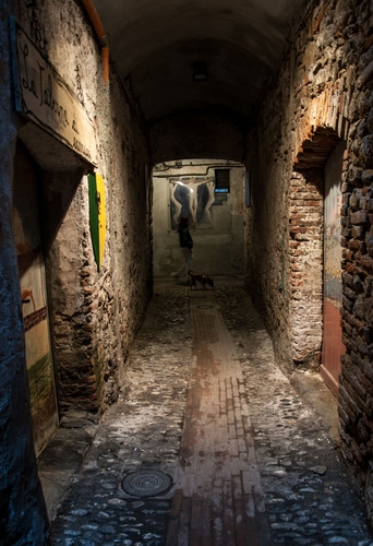 Immagine con vicolo, cane, mattoni, porte, notte, muri, luci