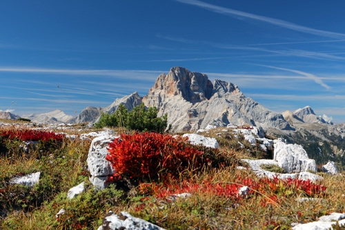 Immagine con montagna, rocce, cielo, montagne, rosso, fiori, erba, verde, roccia, piante