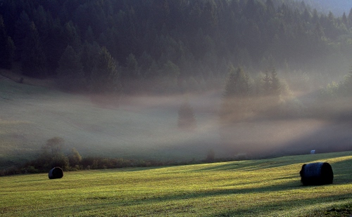 Immagine con nebbia, campo, alberi, erba, prato, fieno, balle, bosco, montagna, verde