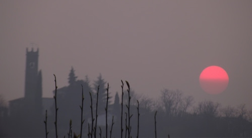 Immagine con sole, nebbia, torre, tramonto, rami, alberi, grigio, rosso, controluce, foschia