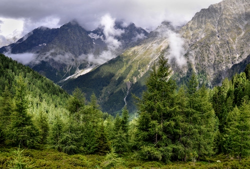 Immagine con alberi, nuvole, verde, montagne, montagna, abeti, bosco, cielo, panorama