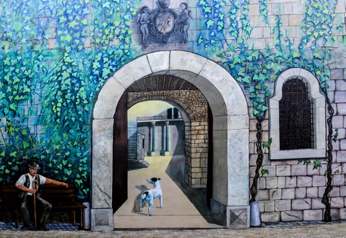 Immagine con cane, murales, arco, finestra, uomo, edera, porta, archi, anziano