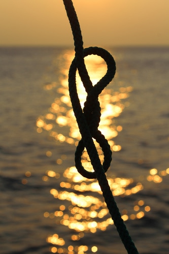 Immagine con mare, nodo, corda, controluce, tramonto, riflesso, sole, fune