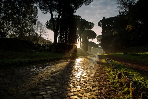 Immagine con strada, controluce, alberi, ombre, verde, pini, via, selciato, sole