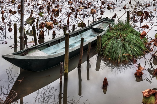Immagine con barca, acqua, foglie, pali, erba, riflesso, palude, fiume, verde, lago, catena, riflessi, pianta