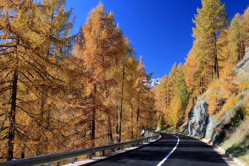 Immagine con strada, alberi, curva, cielo, autunno, giallo, azzurro, montagna, linea