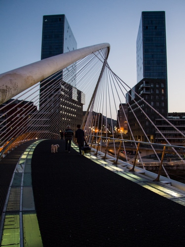 Immagine con ponte, grattacieli, due, persone, cane, tiranti, passanti, arco, città