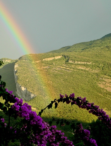 Immagine con arcobaleno, fiori, verde, viola, montagna, colori, cielo