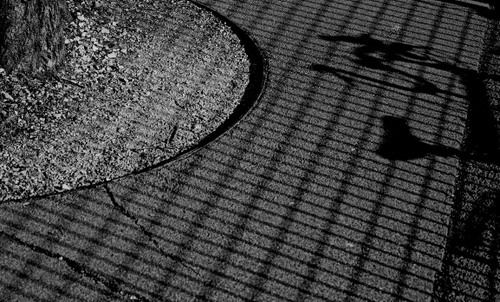 Immagine con bianconero, ombre, curve, ombra, pavimento, grata, astratto, geometrie, cerchio