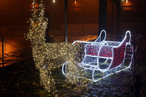 Immagine con luci, slitta, renna, natale, notte, luminarie, foglie, rosso