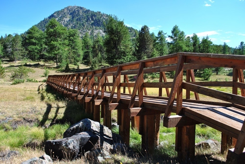 Immagine con alberi, legno, montagna, ponte, verde, montagne, bosco