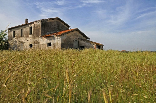 Immagine con cielo, casa, nuvole, erba, verde, spighe, finestre, rudere, campo, casale, grano, cascina, comignolo, azzurro, prato, tetto, abbandono, campagna