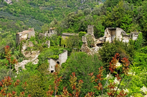 Immagine con ruderi, rovine, verde, alberi, piante, abbandono, case, bosco