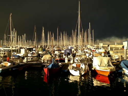 Immagine con porto, barche, mare, alberi, riflesso, notte, acqua, cielo, notturno