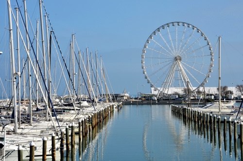 Immagine con barche, ruota, porto, alberi, mare, riflesso, acqua, riflessi