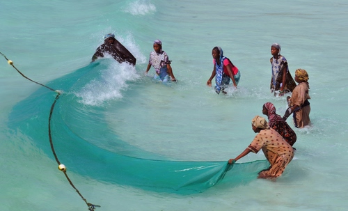Immagine con mare, rete, pescatori, pesca, donne, acqua, pescare, verde