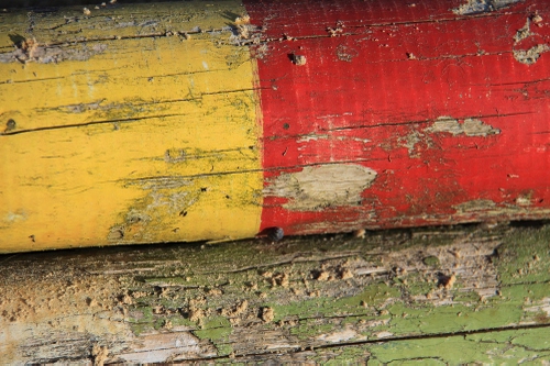 Immagine con rosso, legno, giallo, verde, colori, tronco, bicolore