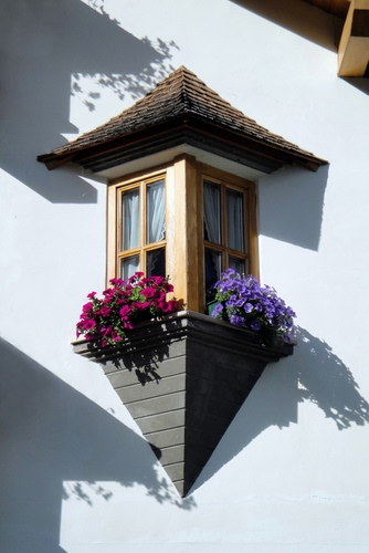 Immagine con fiori, ombre, finestra, finestre, vasi, bianco, viola, balcone